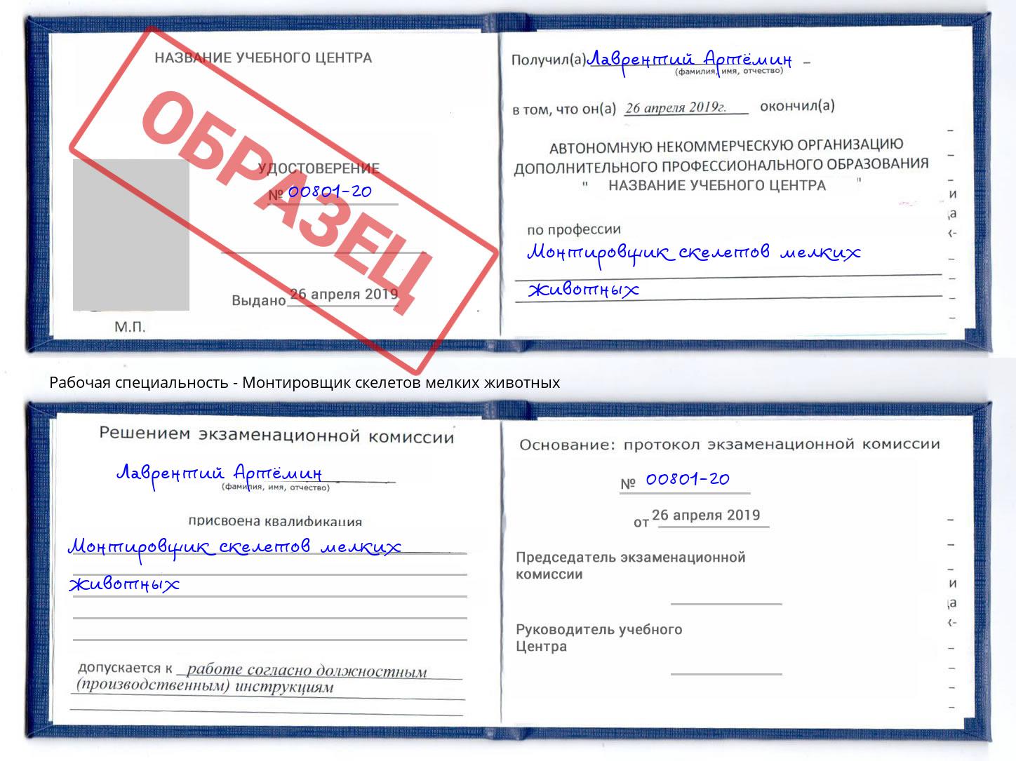 Монтировщик скелетов мелких животных Павловский Посад