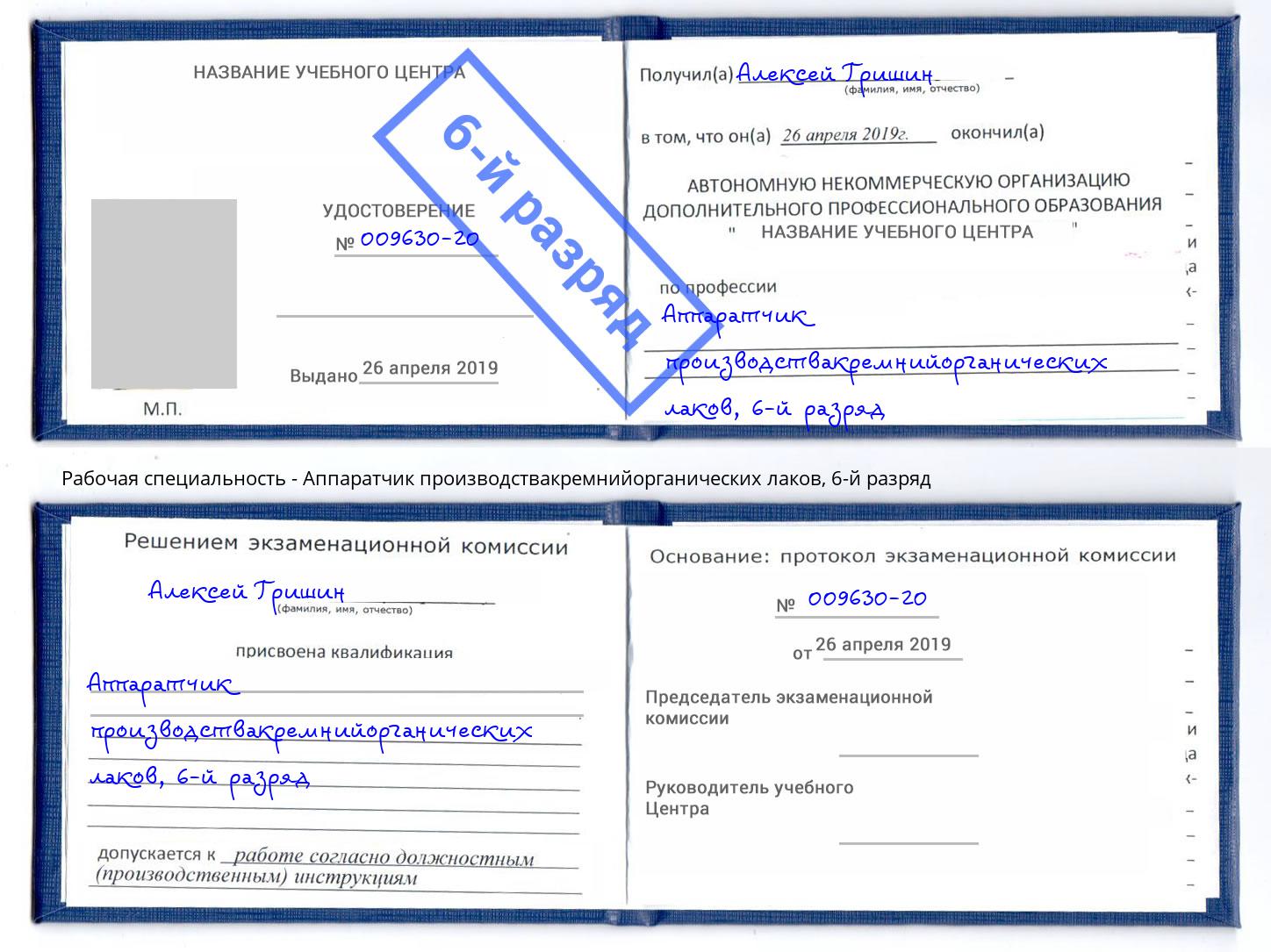 корочка 6-й разряд Аппаратчик производствакремнийорганических лаков Павловский Посад