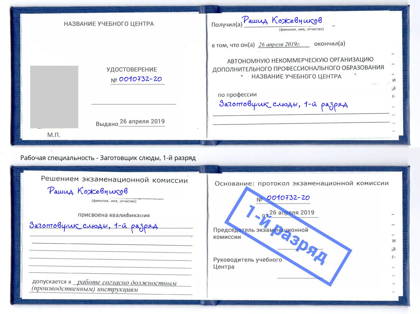 корочка 1-й разряд Заготовщик слюды Павловский Посад